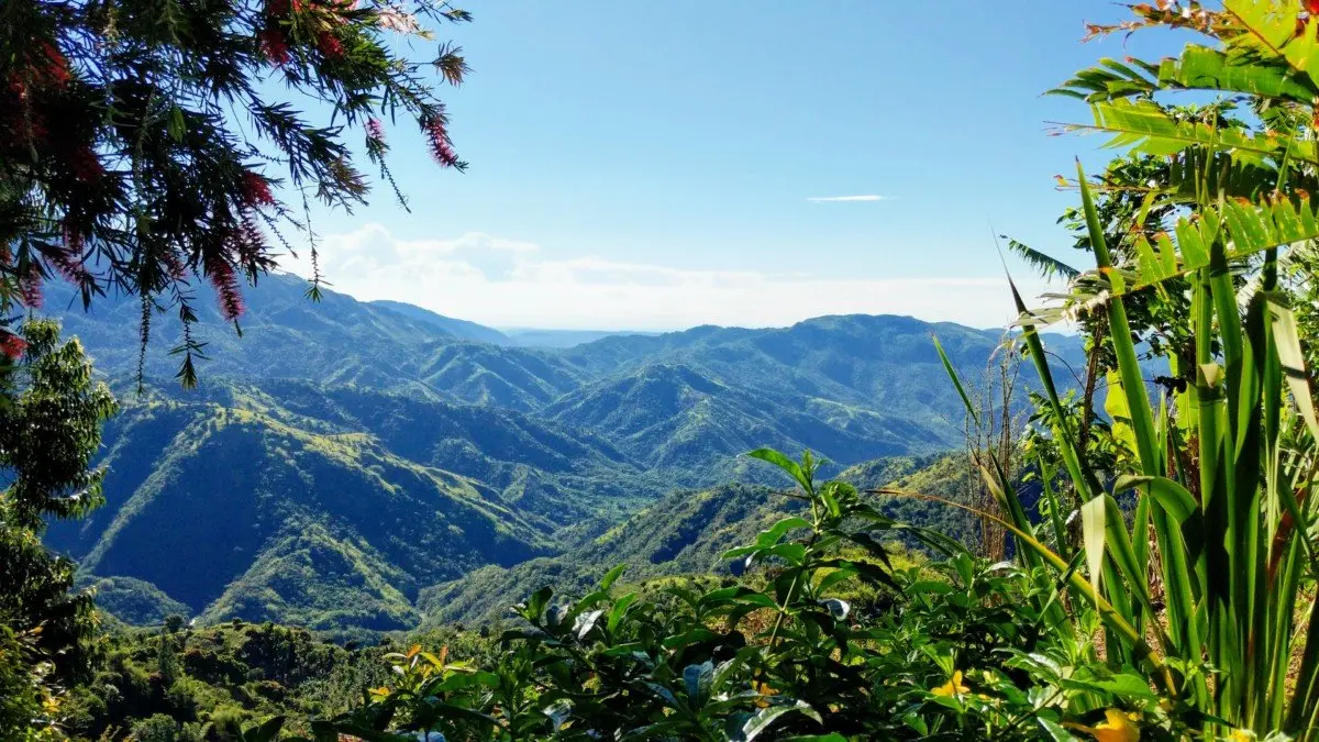 Green ridges of Jamaica's Blue Mountains