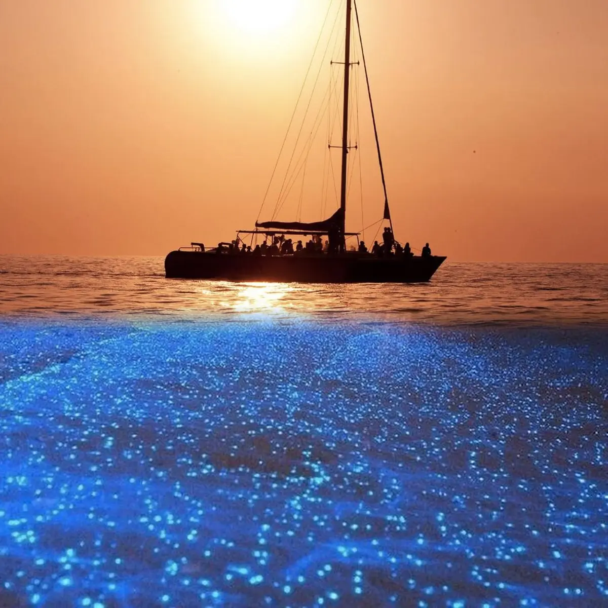 Sailboat at sunset above luminous blue water