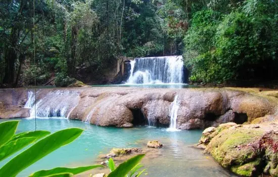 Forest pools and cascades at YS Falls