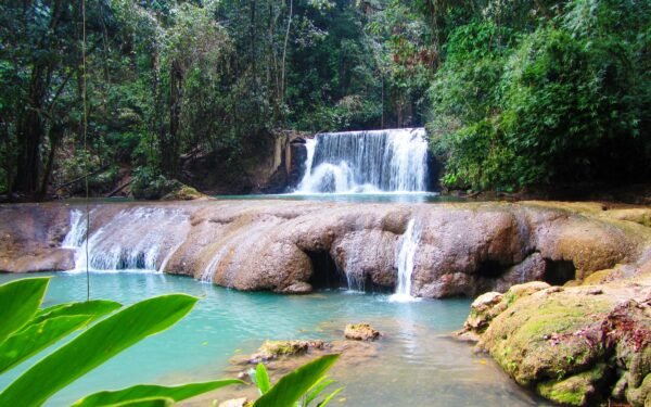 YS Falls Tour