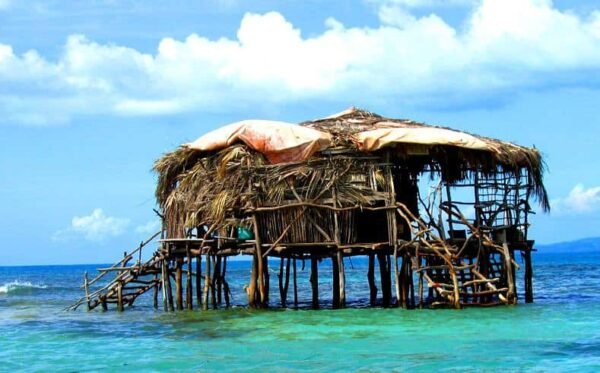 Pelican Bar Tour